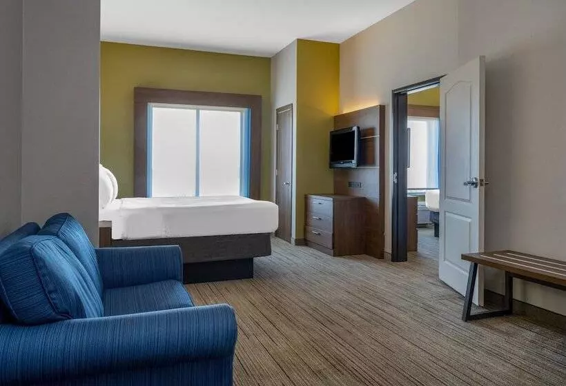 ２ベッドスイートルーム, Holiday Inn Express & Suites Dallas East   Fair Park, An Ihg