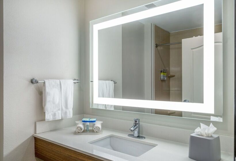 Люкс Адаптированный для Инвалидов, Holiday Inn Express & Suites Dallas East   Fair Park, An Ihg