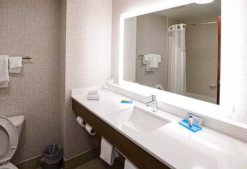 スタンダードルーム, Holiday Inn Express & Suites Knoxville Farragut, An Ihg