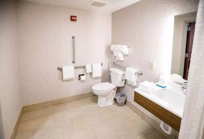 身障者適用スイートルーム, Holiday Inn Express & Suites Knoxville Farragut, An Ihg