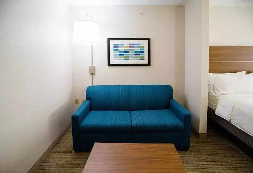身障者適用スイートルーム, Holiday Inn Express & Suites Knoxville Farragut, An Ihg
