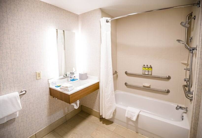 Suite Przystosowany dla Osób Niepełnosprawnych, Holiday Inn Express & Suites Knoxville Farragut, An Ihg