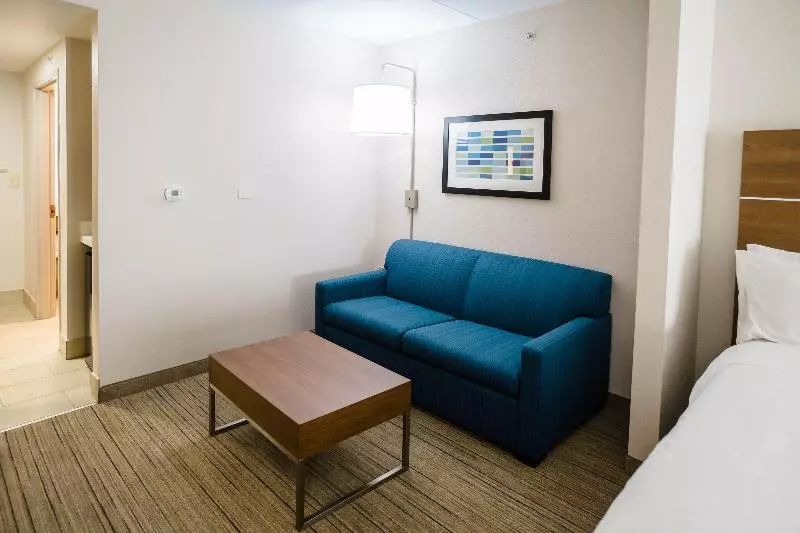 キングサイズベッドのスイートルーム, Holiday Inn Express & Suites Knoxville Farragut, An Ihg