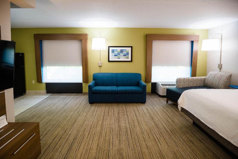 스탠다드 룸 킹사이즈 침대, Holiday Inn Express & Suites Knoxville Farragut, An Ihg