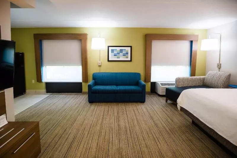 キングサイズベッドのスタンダードルーム, Holiday Inn Express & Suites Knoxville Farragut, An Ihg