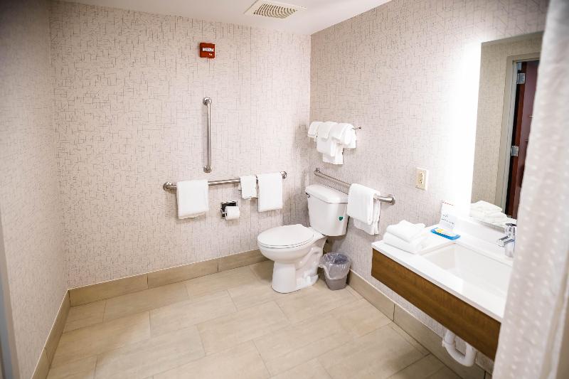 스탠다드 룸 킹사이즈 침대, Holiday Inn Express & Suites Knoxville Farragut, An Ihg