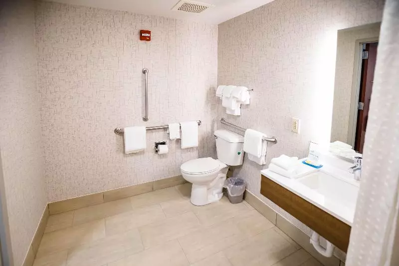キングサイズベッドのスタンダードルーム, Holiday Inn Express & Suites Knoxville Farragut, An Ihg