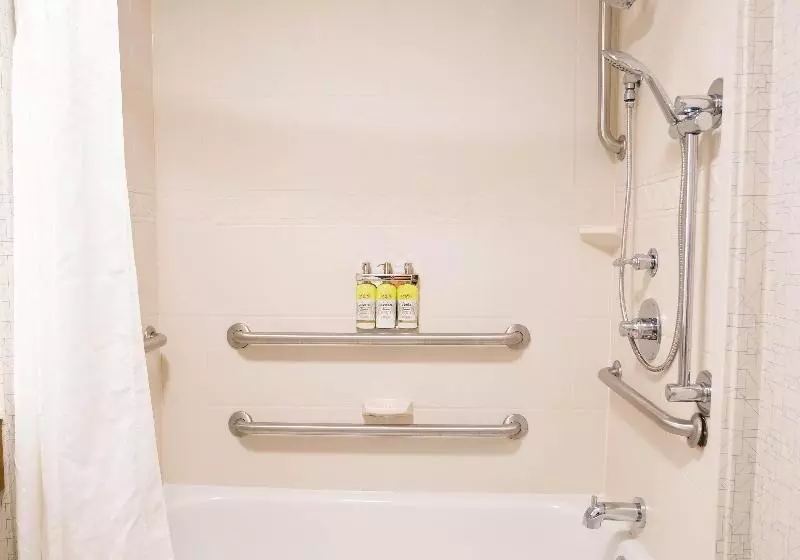 キングサイズベッドのスタンダードルーム, Holiday Inn Express & Suites Knoxville Farragut, An Ihg