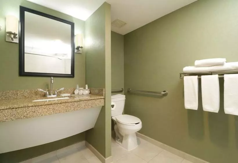 スタンダードルーム, Holiday Inn Express & Suites Monterrey Aeropuerto, An Ihg