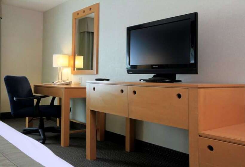 スタンダードルーム, Holiday Inn Express & Suites Monterrey Aeropuerto, An Ihg