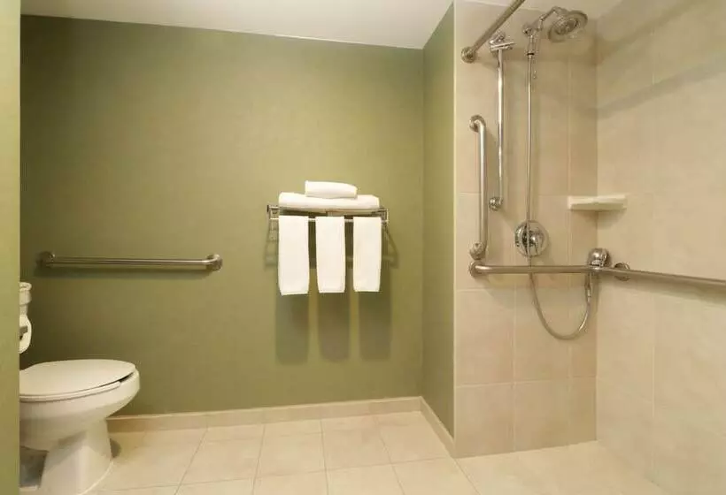 スイート, Holiday Inn Express & Suites Monterrey Aeropuerto, An Ihg
