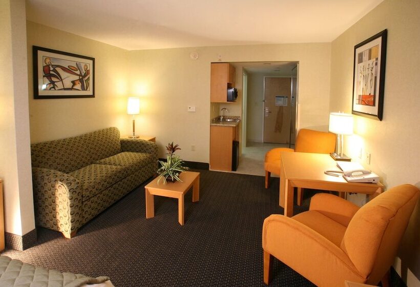 スイート, Holiday Inn Express & Suites Monterrey Aeropuerto, An Ihg