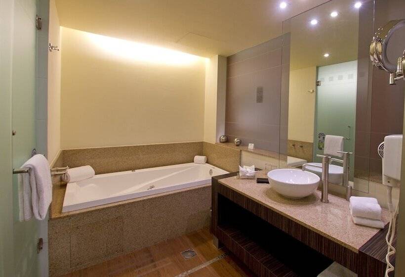 스위트, Holiday Inn Mexico City Plaza Universidad, An Ihg