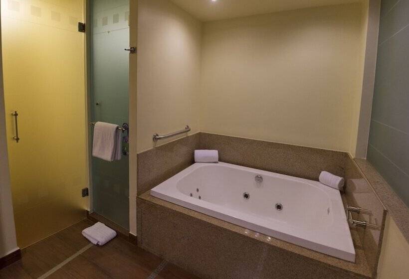 スイート, Holiday Inn Mexico City Plaza Universidad, An Ihg