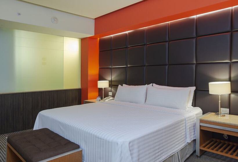 스위트, Holiday Inn Mexico City Plaza Universidad, An Ihg