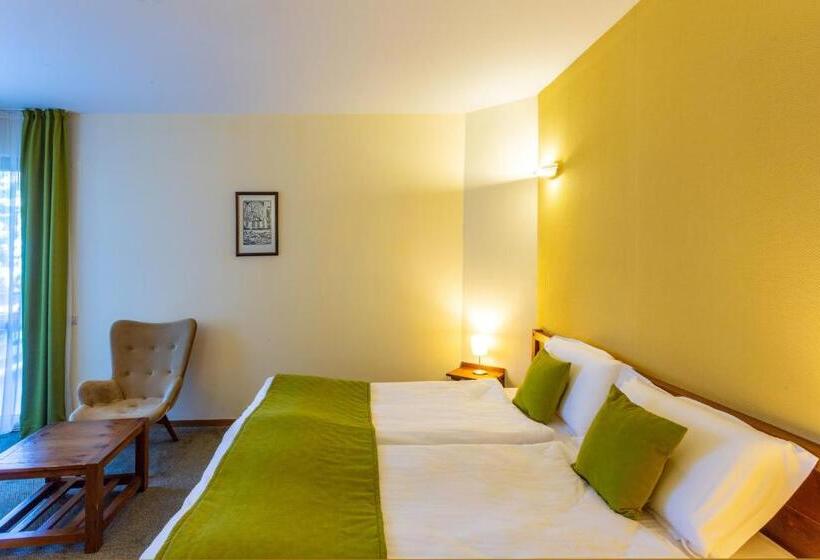 חדר סטנדרט, Musala