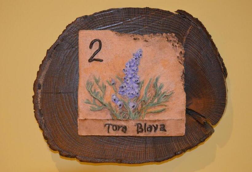 اتاق استاندارد, Parador De Canolich Only Adults