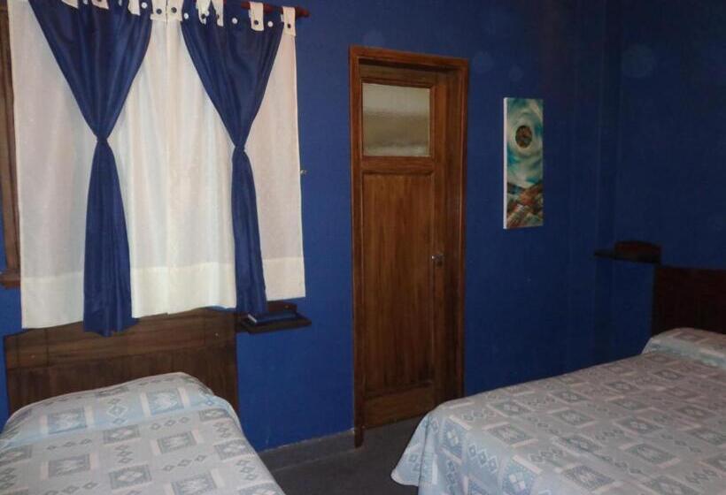 스탠다드 트리플 룸, Selby