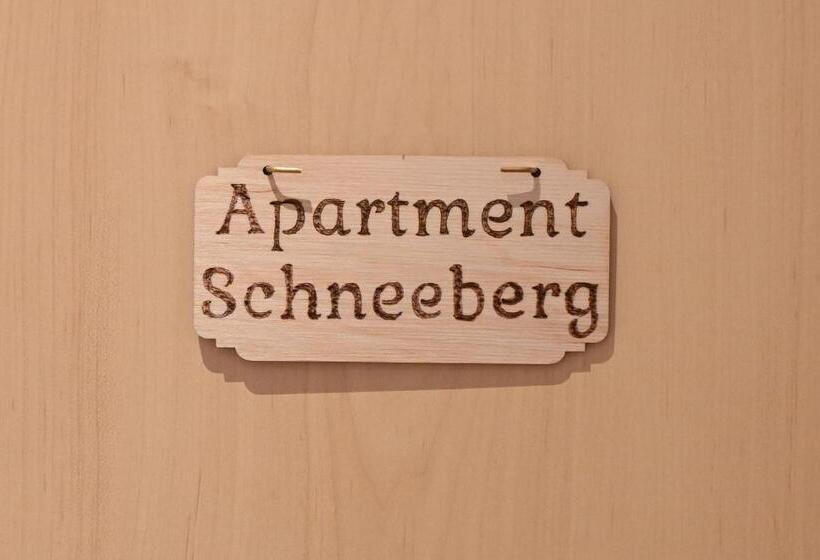 침실 1개 전망 아파트, Waldschlössl Schneedörfl