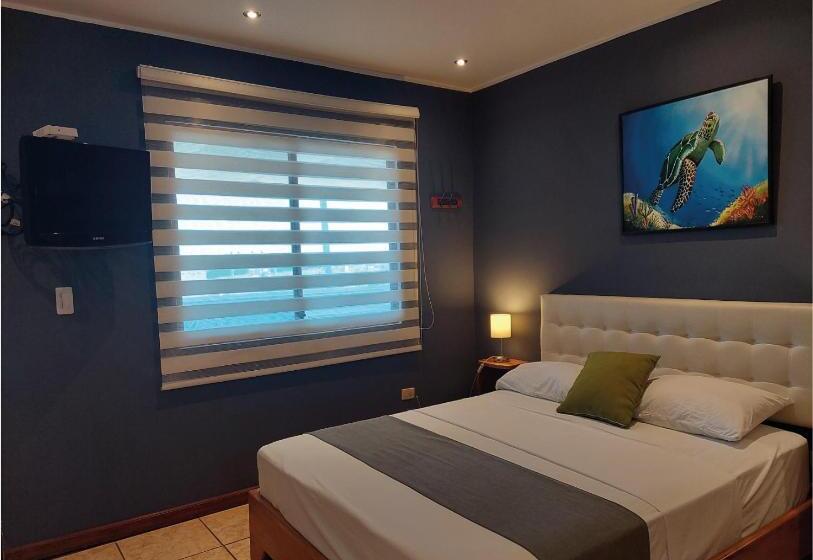 주니어 스위트, Casa D´cristhi