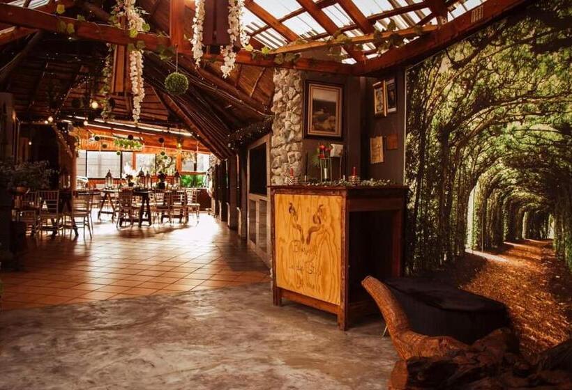 Номер Deluxe, Bosveld In Die Stad