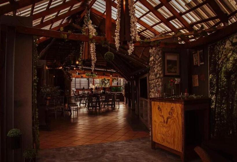 Номер Deluxe, Bosveld In Die Stad