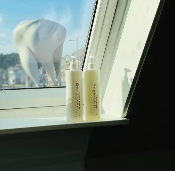 １ベッドルームアパートメント, Boetiekhotel Villa Wanrooy