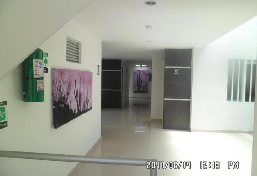 이코노미 룸, Onix