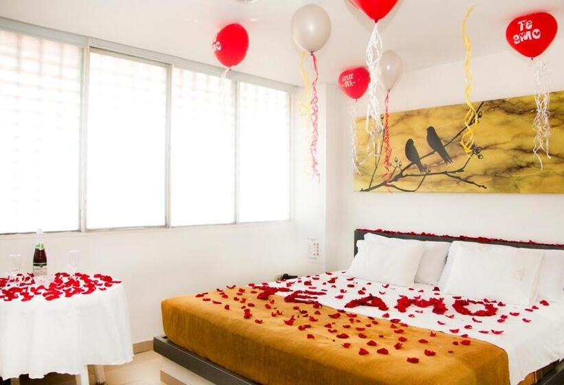 스탠다드 룸, Onix