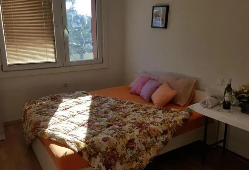 اتاق اجرایی سه نفره, Vila Dule