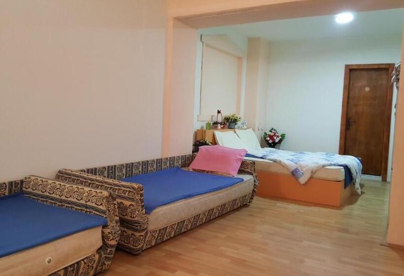 آپارتمان 1 خوابه همکف, Vila Dule