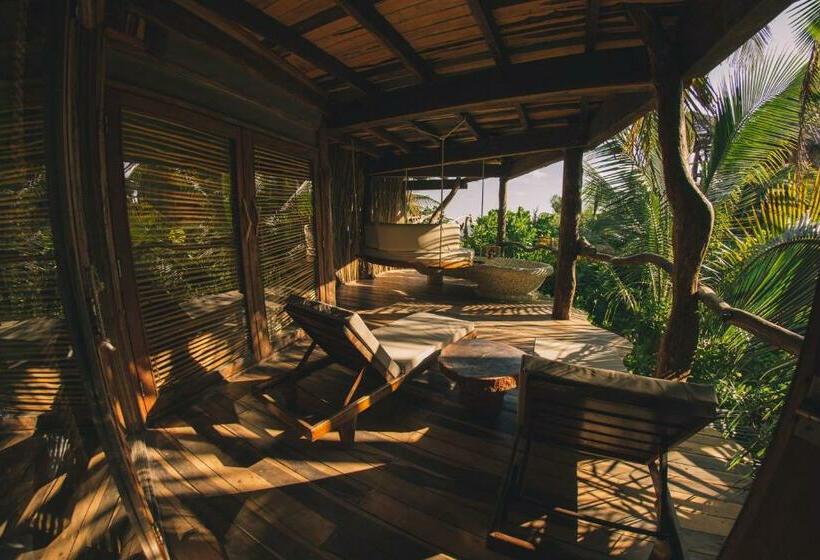Quarto Estandar, Azulik