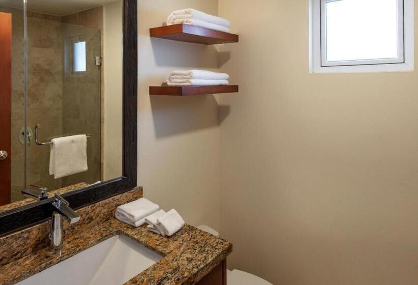 1ベッドルームアパートメント, Corazón Cabo, a Noble House Resort