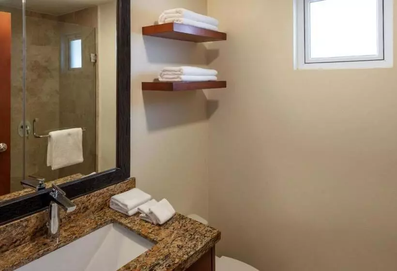 １ベッドルームアパートメント, Corazón Cabo, a Noble House Resort