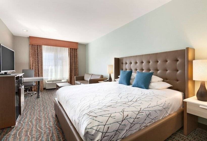 标准间, Best Western Plus Peppertree Inn At Omak