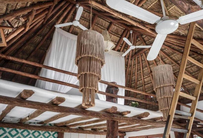 オーシャンビュースイート, Casa Blanca