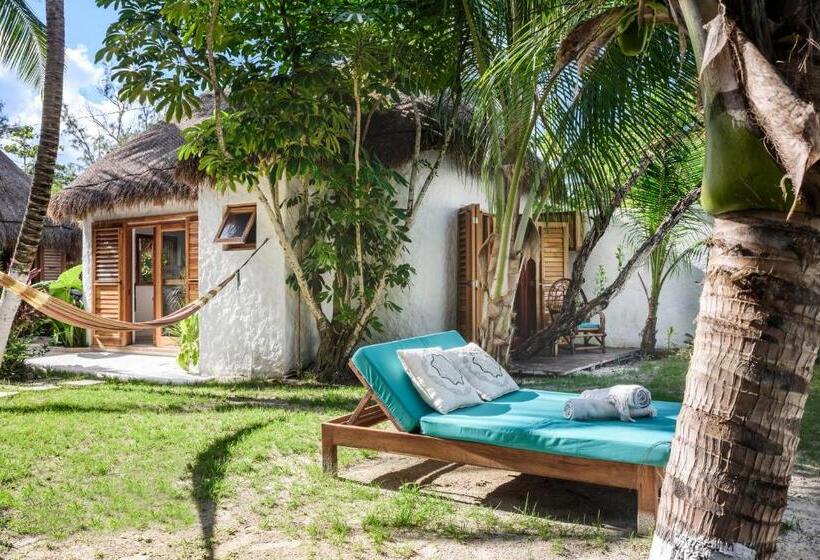 プールビュースタンダードルーム, Casa Blanca