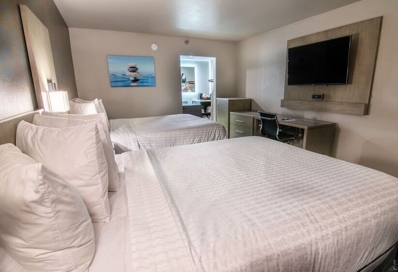 غرفه قياسيه سريرين مزدوجين, Clarion Inn