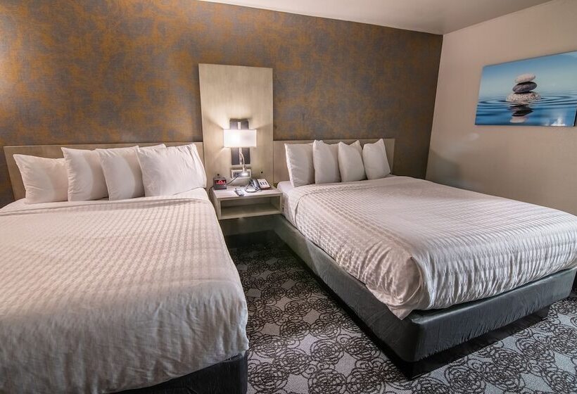 غرفه قياسيه سريرين مزدوجين, Clarion Inn