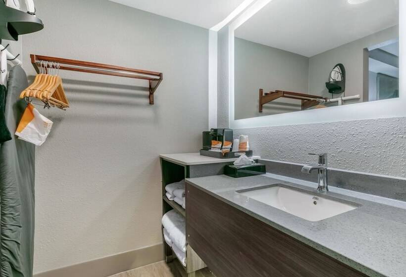 غرفه قياسيه سريرين مزدوجين, Clarion Inn