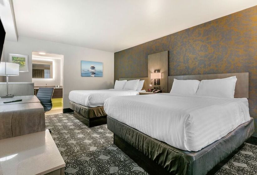 带2个双人床的标准工作室, Clarion Inn