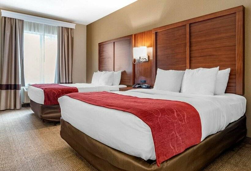 جناح لذوى الاحتياجات الخاصة, Comfort Suites Airport