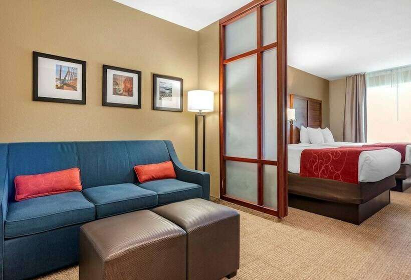 جناح لذوى الاحتياجات الخاصة, Comfort Suites Airport