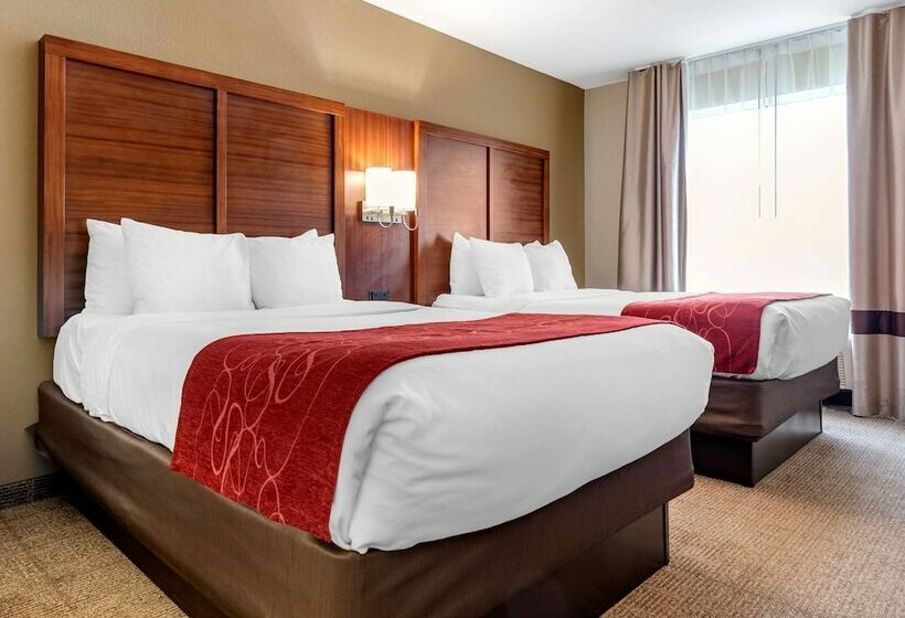 Люкс Адаптированный для Инвалидов, Comfort Suites Airport