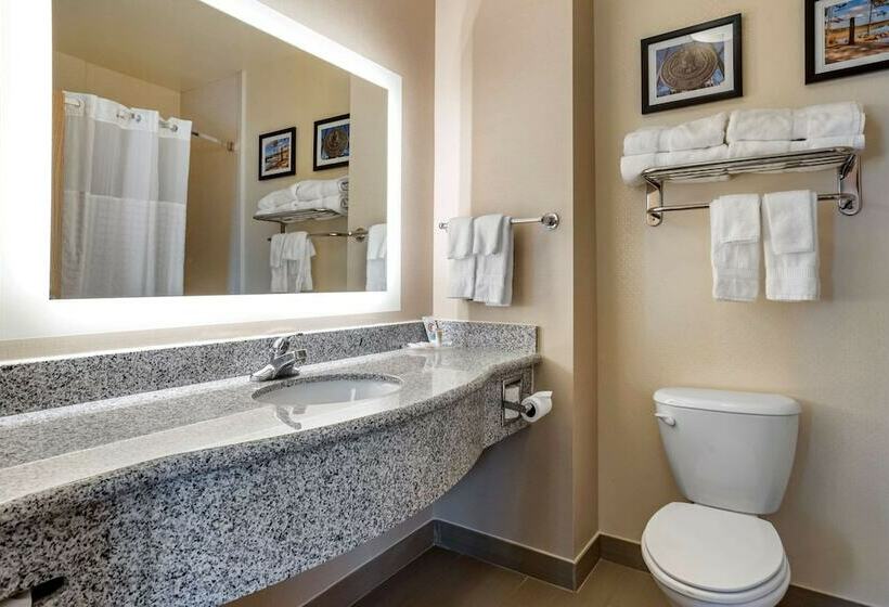 جناح لذوى الاحتياجات الخاصة, Comfort Suites Airport