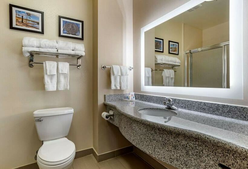 Люкс, Comfort Suites Airport