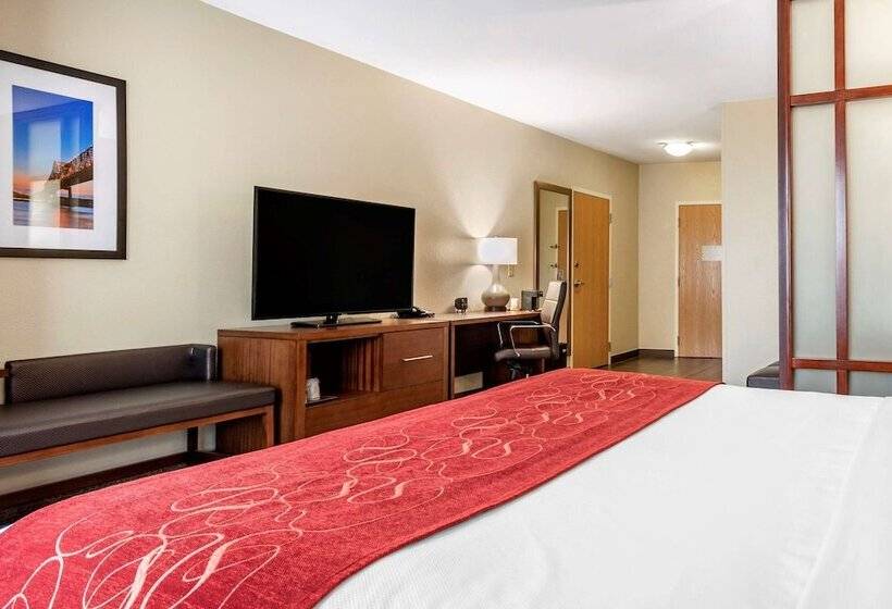 Люкс Адаптированный для Инвалидов, Comfort Suites Airport