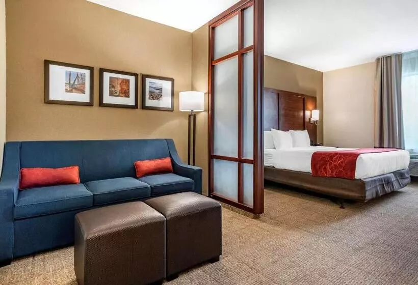 اتاق استاندارد با تخت بزرگ برای معلولان, Comfort Suites Airport