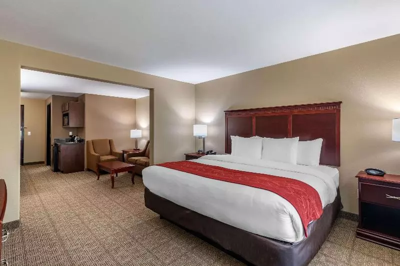 キングサイズベッドのスイートルーム, Comfort Suites