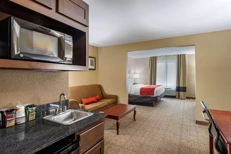 キングサイズベッドのスイートルーム, Comfort Suites